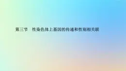 2023新教材高中生物第二章染色体与遗传第三节性染色体上基因的传递和性别相关联课件浙科版必修2