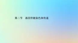 2023新教材高中生物第二章染色体与遗传第二节基因伴随染色体传递课件浙科版必修2