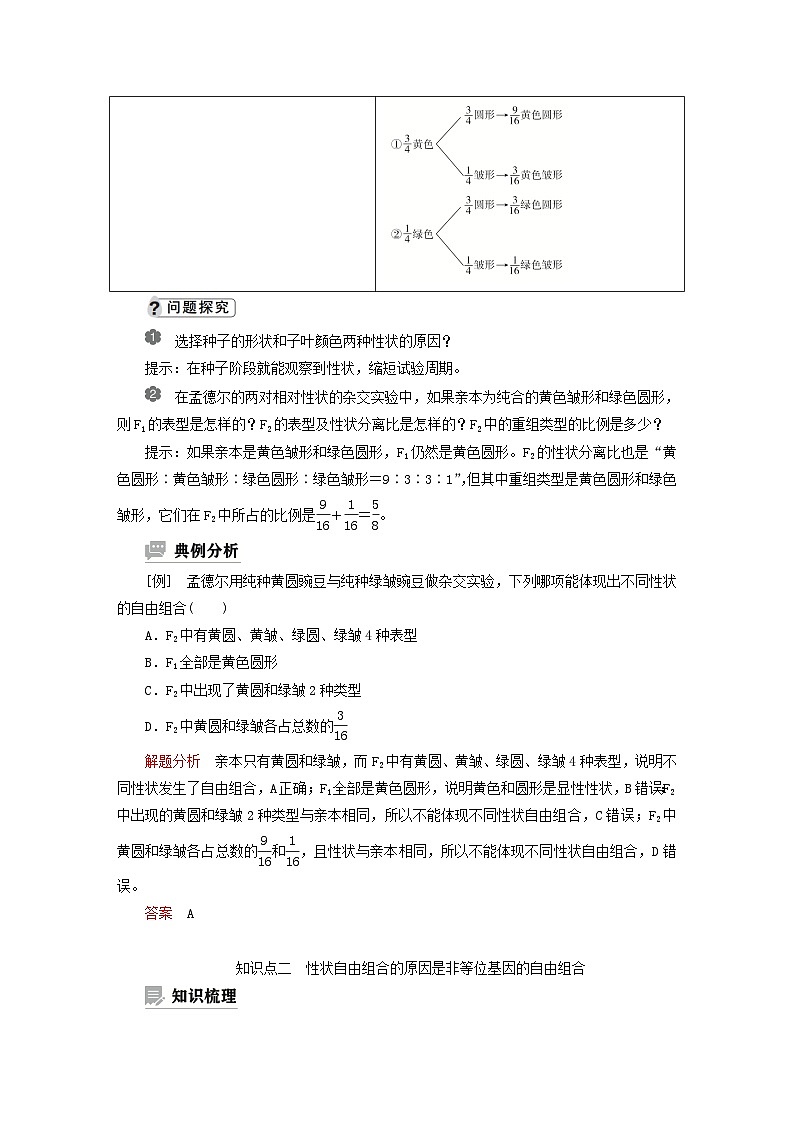 2023新教材高中生物第一章遗传的基本规律第二节孟德尔从两对相对性状的杂交实验中总结出自由组合定律第一课时两对相对性状杂交实验的过程和解释学案浙科版必修202
