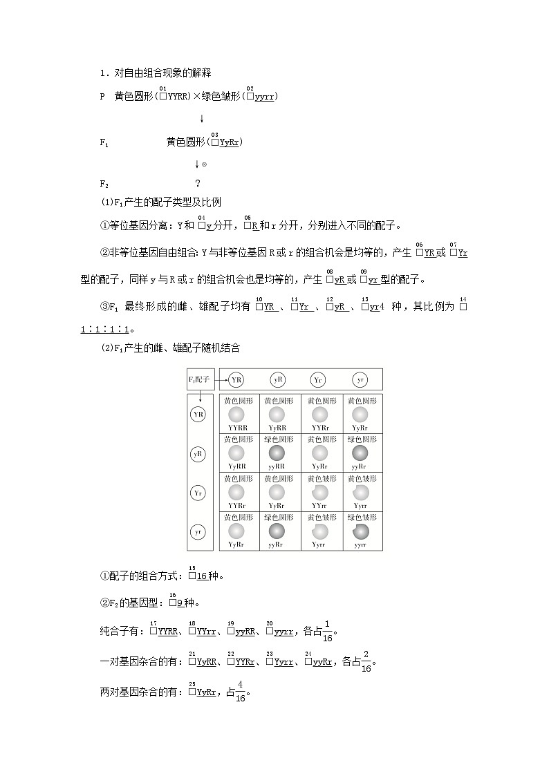2023新教材高中生物第一章遗传的基本规律第二节孟德尔从两对相对性状的杂交实验中总结出自由组合定律第一课时两对相对性状杂交实验的过程和解释学案浙科版必修203
