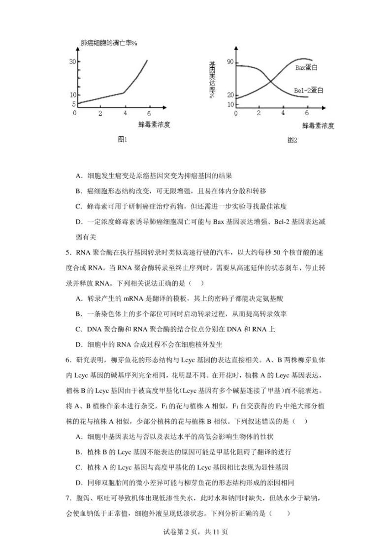 广东省揭阳市普宁市勤建学校2022-2023学年高二下学期学科竞赛生物试题02