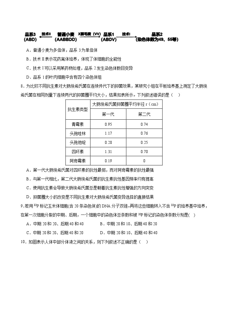 湖北省荆州市公安县第三中学2023-2024学年高二上学期入学考试生物试题03