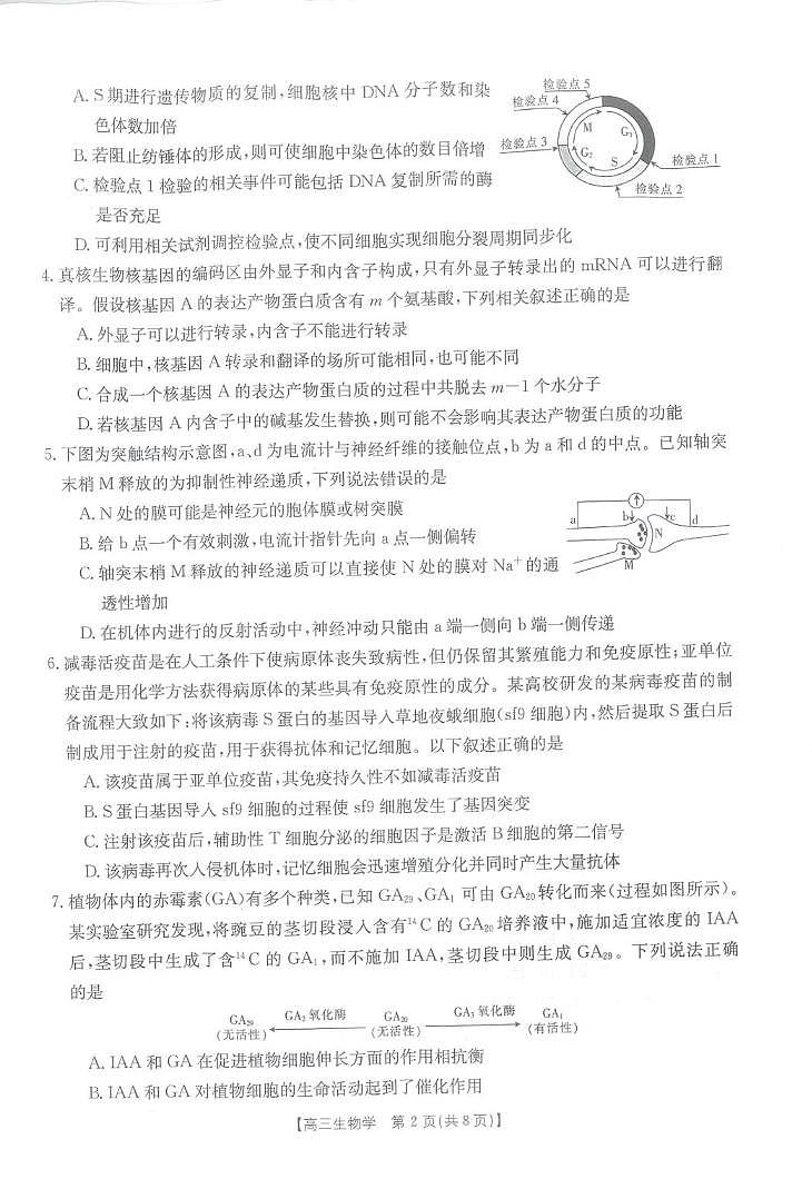 _生物丨金太阳24-1002C河北省2024届高三上学期百万大联考生物试卷及答案第2页