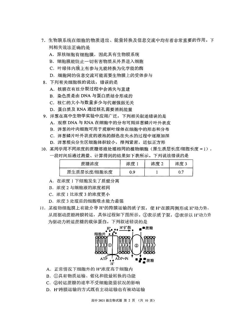 2024成都蓉城联盟高三上学期开学考试生物PDF版无答案第2页