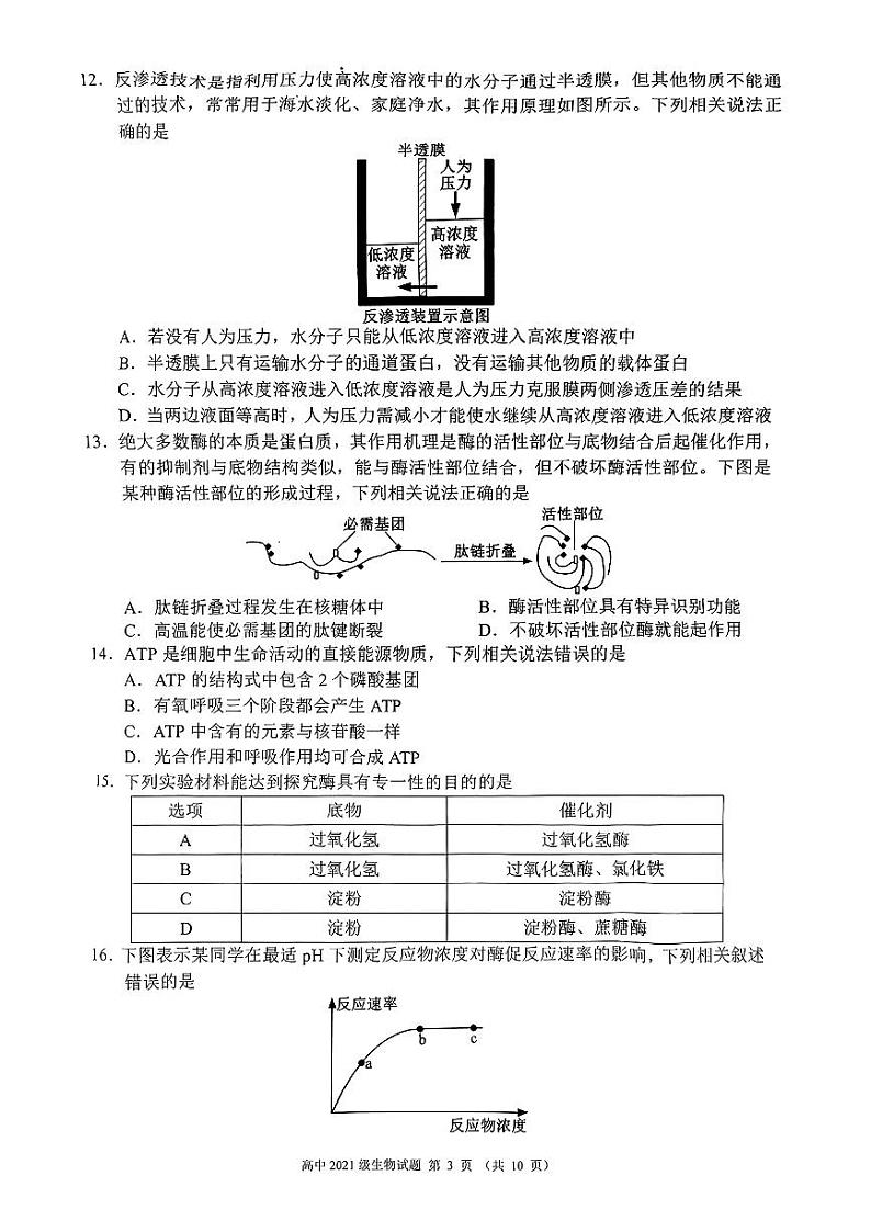 2024成都蓉城联盟高三上学期开学考试生物PDF版无答案第3页