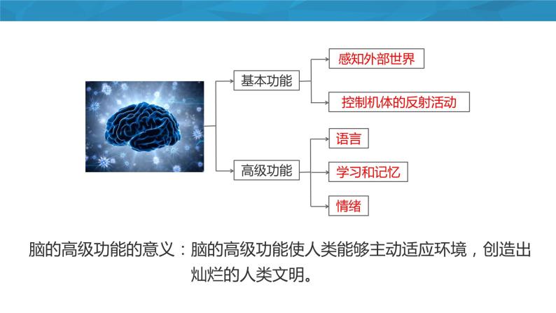 2.5人脑的高级功能 课件高中生物选择性必修一06