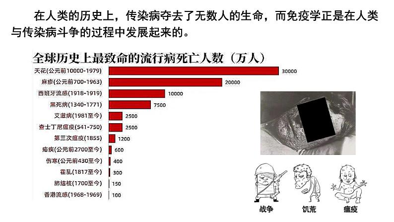 4.4 免疫学的应用 课件高中生物选择性必修一第4页