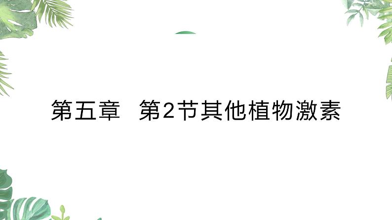 5.2其他植物激素 课件高中生物选择性必修一第1页
