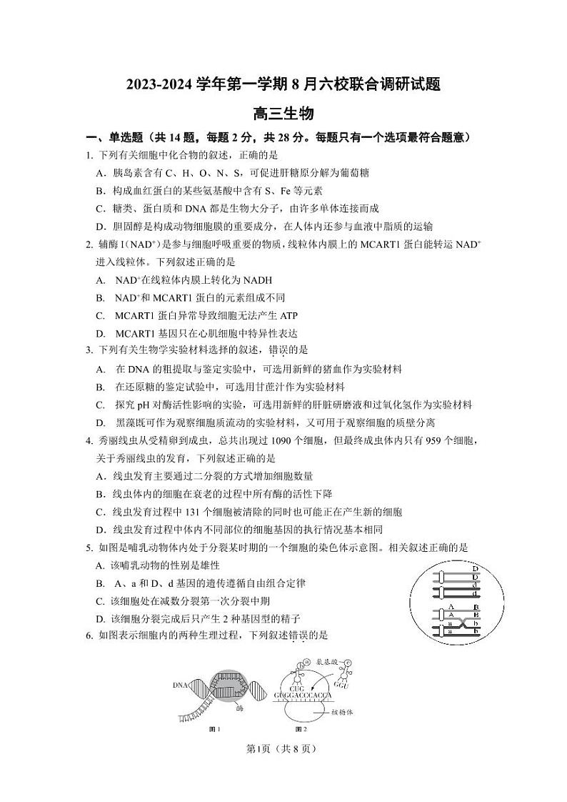 2023-2024学年度江苏南京8月六校联考 生物第1页