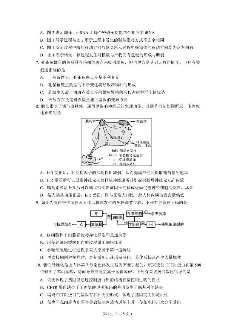2023-2024学年度江苏南京8月六校联考 生物第2页