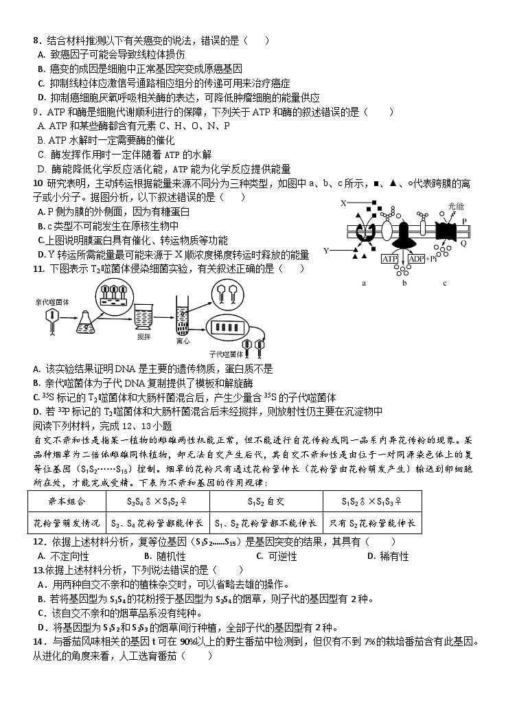 2024宁波北仑中学高二上学期期初考试生物试题含答案02