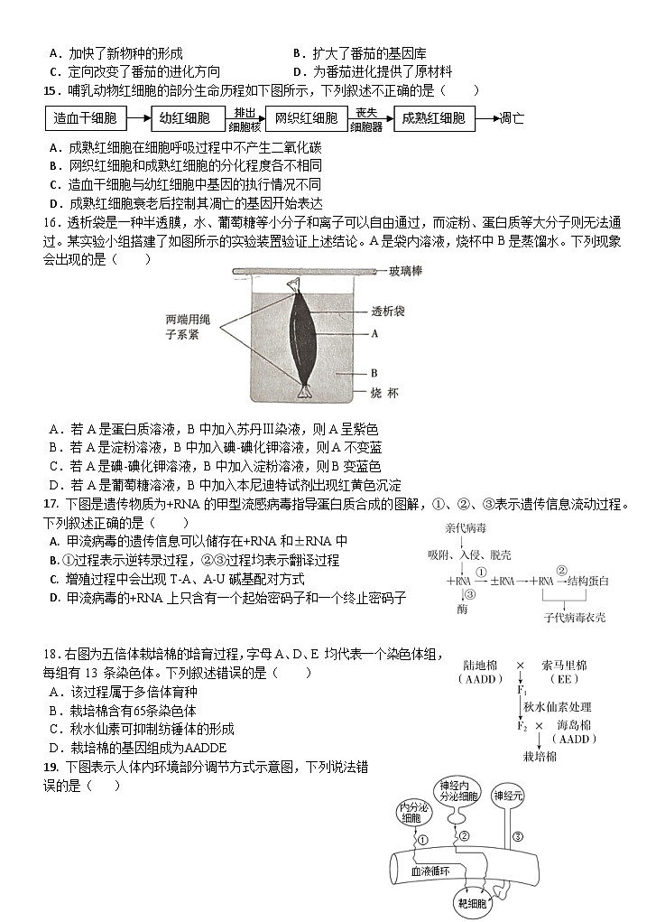 2024宁波北仑中学高二上学期期初考试生物试题含答案03