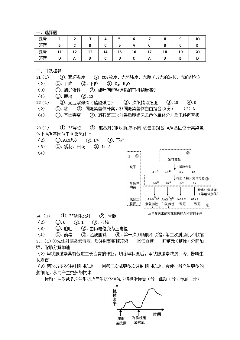 2024宁波北仑中学高二上学期期初考试生物试题含答案01