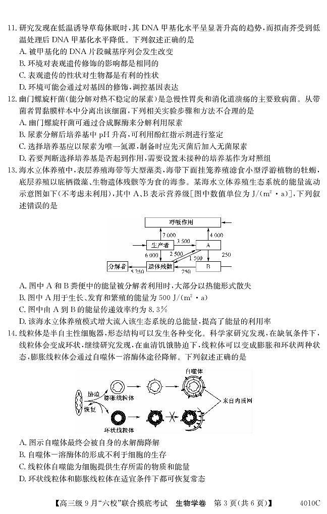 广东省清中、河中、北中、惠中、阳中、茂中等6校2023-2024学年高三上学期第一次联考生物 试卷03