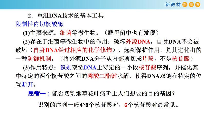 专题33 基因工程和生物技术的安全与伦理-备战2023年高考生物一轮复习全考点精选课件(浙江新教材、新高考专用)第5页