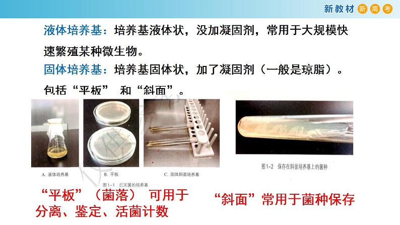 专题30 发酵工程-备战2023年高考生物一轮复习全考点精选课件(浙江新教材、新高考专用)第5页