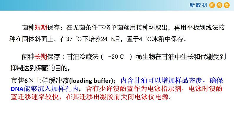 专题30 发酵工程-备战2023年高考生物一轮复习全考点精选课件(浙江新教材、新高考专用)第6页