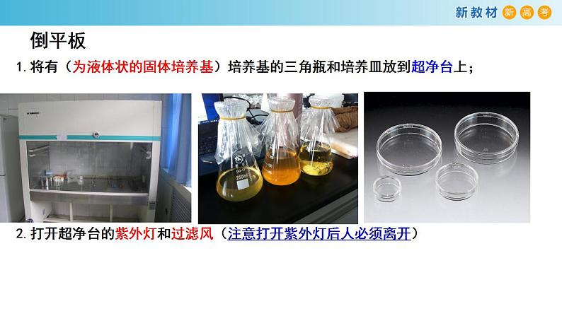 专题30 发酵工程-备战2023年高考生物一轮复习全考点精选课件(浙江新教材、新高考专用)第7页