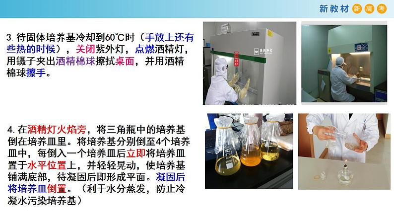 专题30 发酵工程-备战2023年高考生物一轮复习全考点精选课件(浙江新教材、新高考专用)第8页