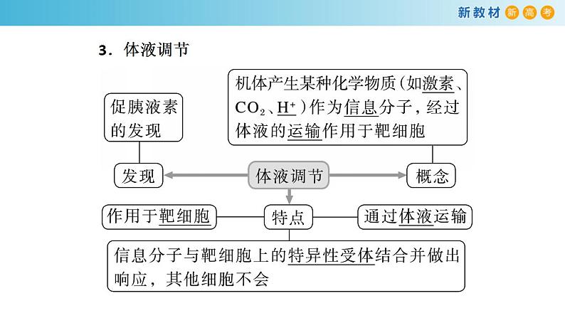 专题24 体液调节-备战2023年高考生物一轮复习全考点精选课件(浙江新教材、新高考专用)第4页