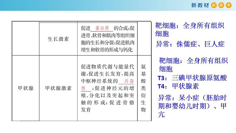 专题24 体液调节-备战2023年高考生物一轮复习全考点精选课件(浙江新教材、新高考专用)第7页