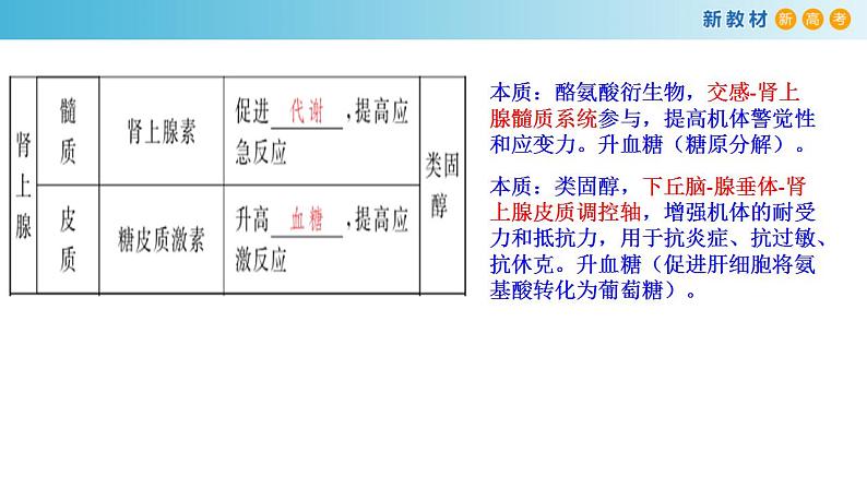 专题24 体液调节-备战2023年高考生物一轮复习全考点精选课件(浙江新教材、新高考专用)第8页