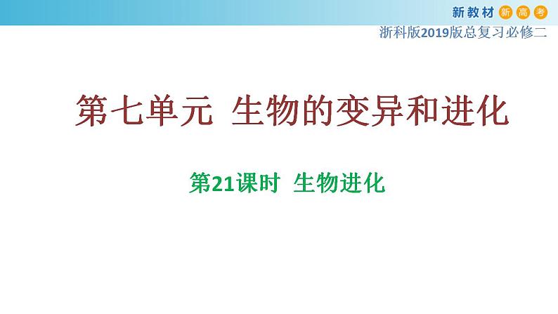 专题21 生物进化-备战2023年高考生物一轮复习全考点精选课件(浙江新教材、新高考专用)第1页