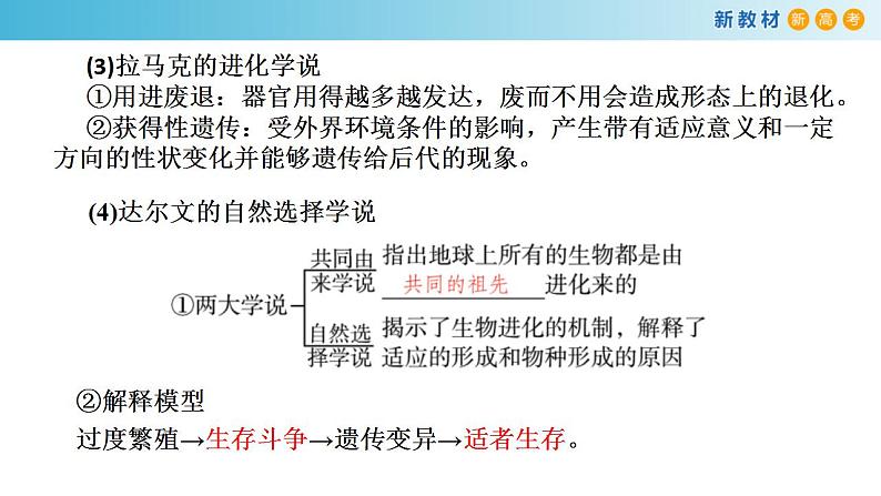 专题21 生物进化-备战2023年高考生物一轮复习全考点精选课件(浙江新教材、新高考专用)第3页