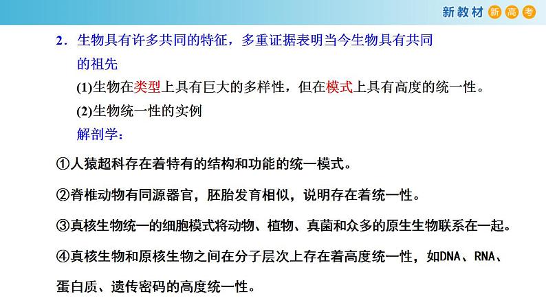 专题21 生物进化-备战2023年高考生物一轮复习全考点精选课件(浙江新教材、新高考专用)第5页