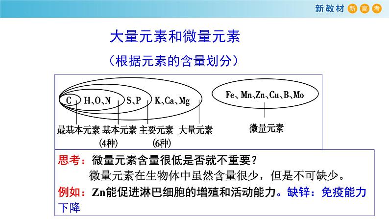 专题1 细胞的元素组成、无机物、糖类与脂质-备战2023年高考生物一轮复习全考点精选课件(浙江新教材、新高考专用)04