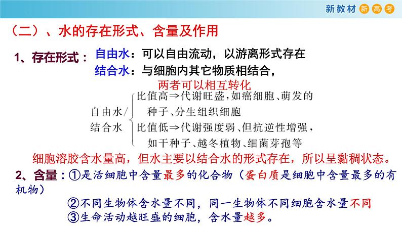 专题1 细胞的元素组成、无机物、糖类与脂质-备战2023年高考生物一轮复习全考点精选课件(浙江新教材、新高考专用)05