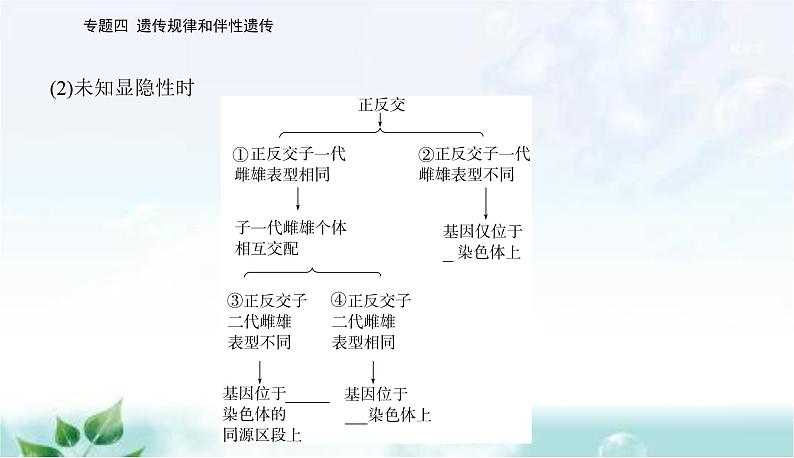 2023届高考生物二轮复习高考命题热点五课件第3页
