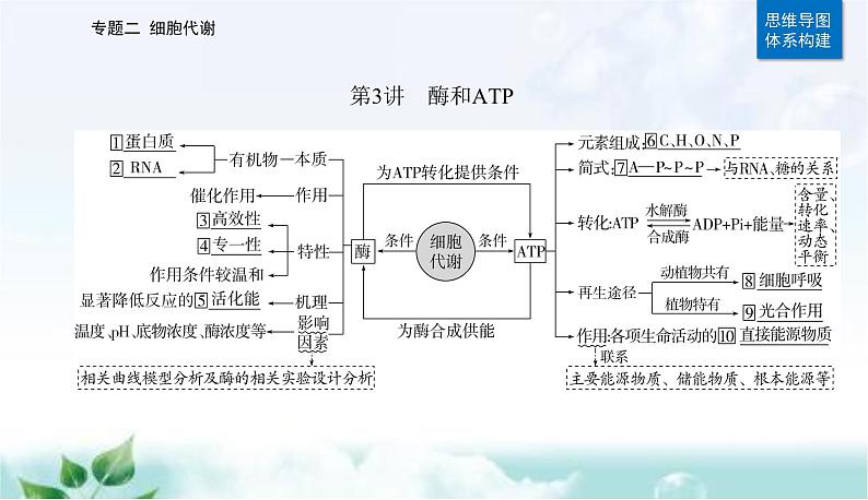 2023届高考生物二轮复习第3讲酶和ATP课件第2页