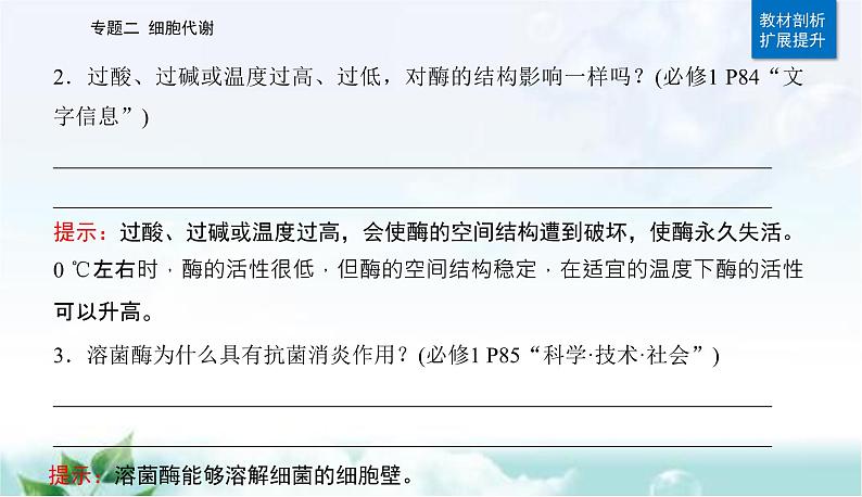 2023届高考生物二轮复习第3讲酶和ATP课件第4页