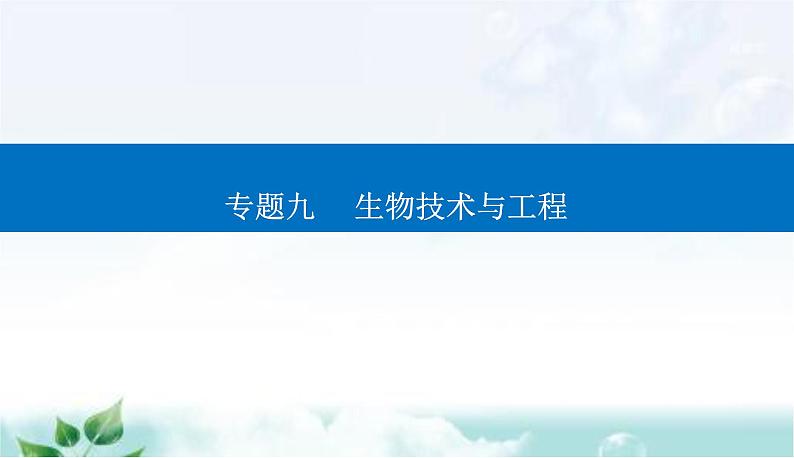 2023届高考生物二轮复习第17讲基因工程课件第1页