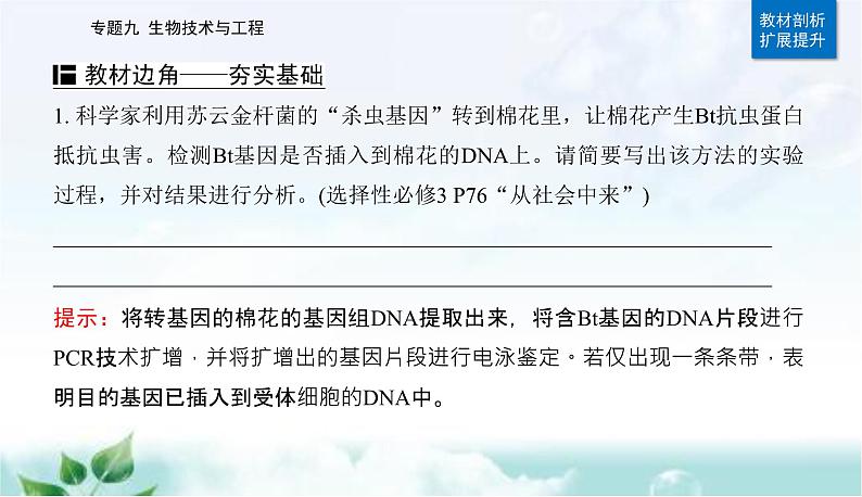 2023届高考生物二轮复习第17讲基因工程课件第3页