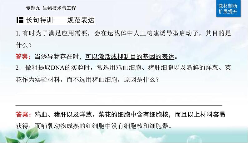 2023届高考生物二轮复习第17讲基因工程课件第6页