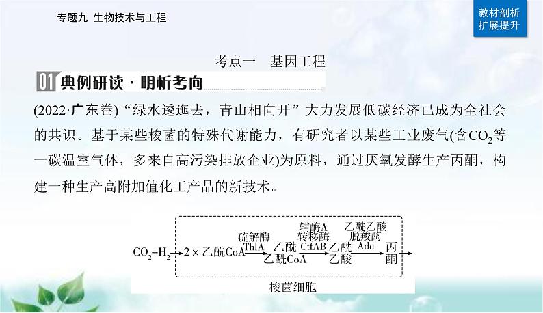 2023届高考生物二轮复习第17讲基因工程课件第7页