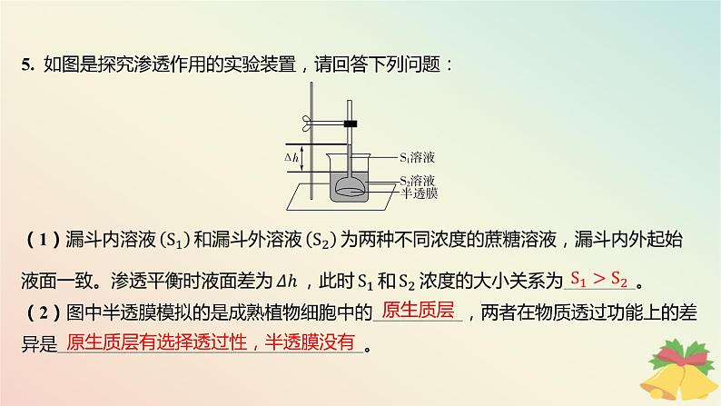江苏专版2023_2024学年新教材高中生物第二章细胞的结构和生命活动第三节物质进出细胞的运输方式第一课时细胞质膜具有选择透过性分层作业课件苏教版必修1第5页