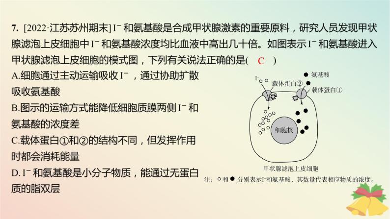 江苏专版2023_2024学年新教材高中生物第二章细胞的结构和生命活动第三节物质进出细胞的运输方式第二课时被动运输主动运输及细胞的胞吞和胞吐分层作业课件苏教版必修107