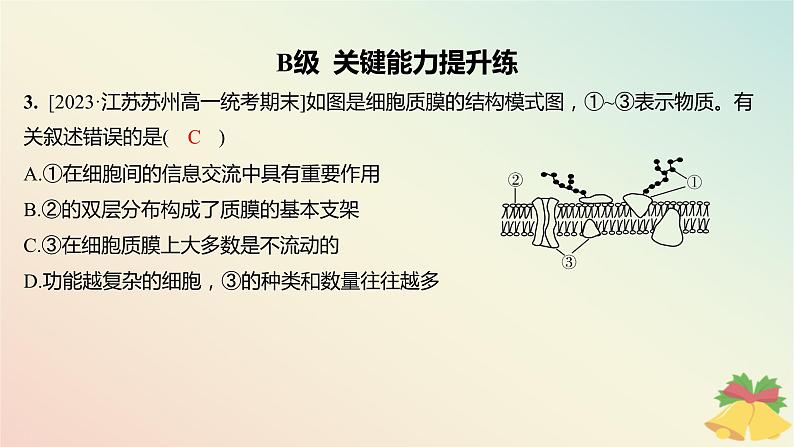 江苏专版2023_2024学年新教材高中生物第二章细胞的结构和生命活动第二节细胞__生命活动的基本单位第一课时细胞质膜将细胞与外界环境分开分层作业课件苏教版必修103