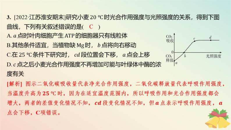 江苏专版2023_2024学年新教材高中生物第三章细胞中能量的转换和利用微专题三光合作用与细胞呼吸的关系曲线模型及相关实验设计分层作业课件苏教版必修105