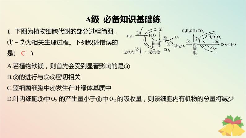 江苏专版2023_2024学年新教材高中生物第三章细胞中能量的转换和利用第四节影响光合作用和细胞呼吸的环境因素分层作业课件苏教版必修102