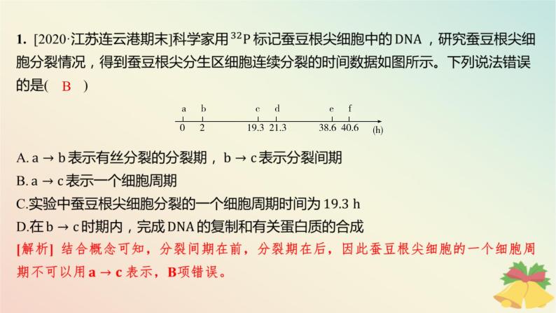 江苏专版2023_2024学年新教材高中生物第四章细胞增殖分化衰老和死亡微专题四与有丝分裂过程相关的图像和曲线分析分层作业课件苏教版必修102