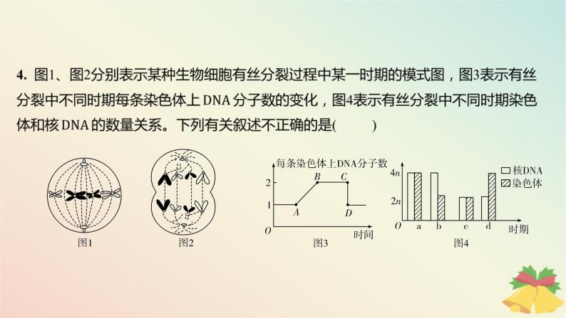 江苏专版2023_2024学年新教材高中生物第四章细胞增殖分化衰老和死亡微专题四与有丝分裂过程相关的图像和曲线分析分层作业课件苏教版必修106