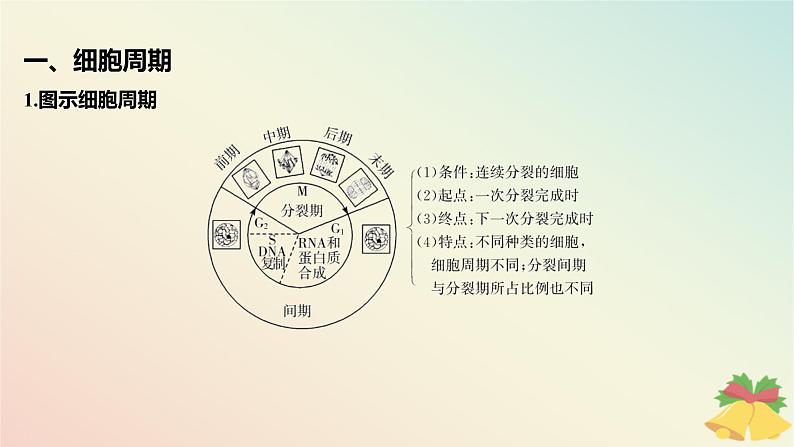 江苏专版2023_2024学年新教材高中生物第四章细胞增殖分化衰老和死亡微专题四与有丝分裂过程相关的图像和曲线分析课件苏教版必修102