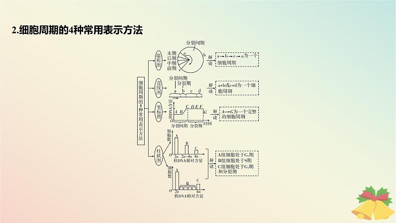 江苏专版2023_2024学年新教材高中生物第四章细胞增殖分化衰老和死亡微专题四与有丝分裂过程相关的图像和曲线分析课件苏教版必修103