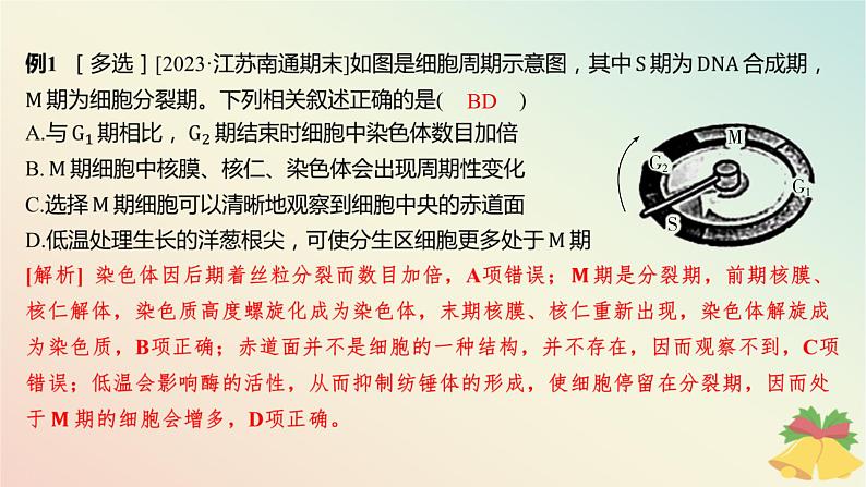 江苏专版2023_2024学年新教材高中生物第四章细胞增殖分化衰老和死亡微专题四与有丝分裂过程相关的图像和曲线分析课件苏教版必修108