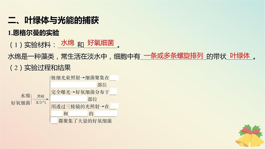 江蘇專版2023_2024學年新教材高中生物第三章細胞中能量的轉換和利用第二節(jié)光合作用__光能的捕獲和轉換第一課時解開光合作用之謎及葉綠體與光能的捕獲課件蘇教版必修1第7頁