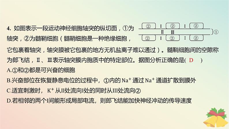 江苏专版2023_2024学年新教材高中生物第一章人体稳态维持的生理基础第一节神经调节第二课时动作电位的产生和传导及神经冲动在神经细胞之间的传递分层作业课件苏教版选择性必修1第5页